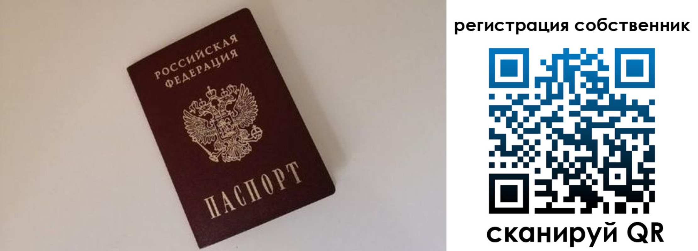 временная регистрация надежно в Ершове